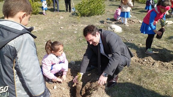 İlçemiz  Atatürk İlkokulu ve Seben Anaokulu öğrencileri, orman haftası kapsamında fidan dikimi gerçekleştirdiler. 